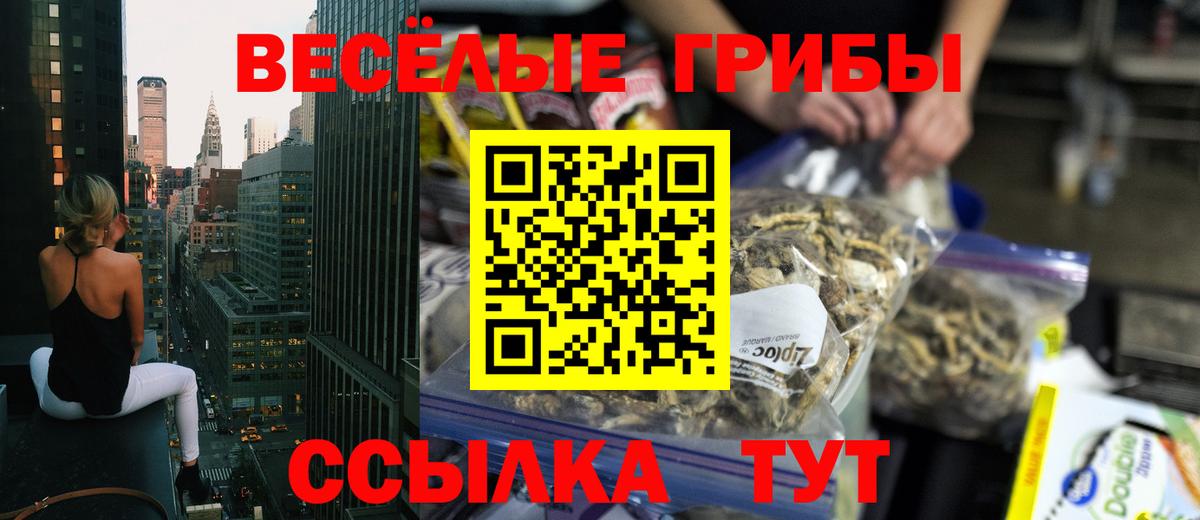 Псилоцибиновые грибы Magic Shrooms  Вход с VPN  Галлюциногенные грибы Magic Shrooms  Всеволожск 