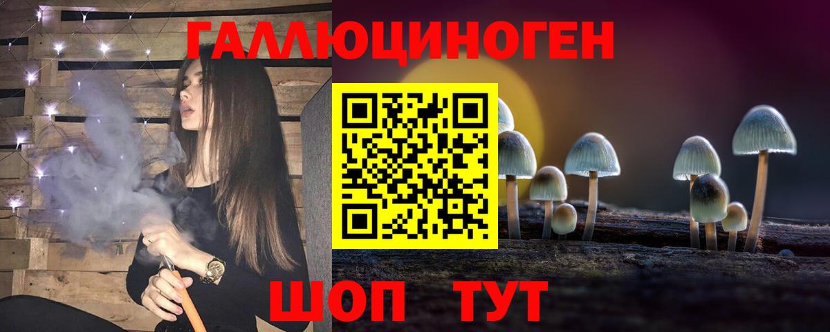 Псилоцибиновые грибы Cubensis Всеволожск
